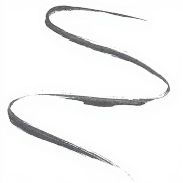 Maybelline Matte Eyeliner Charcoal Black Longwear Liquid